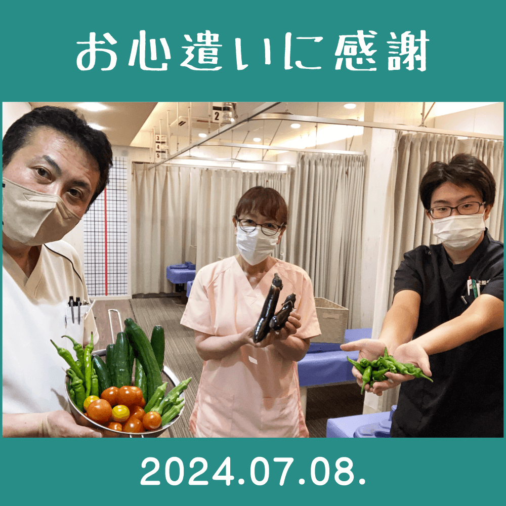 2024.07.08.患者様からの頂き物「家庭菜園で作られた夏野菜（きゅうり・トマト・シシトウ・オクラ・万願寺唐辛子・ナス）」