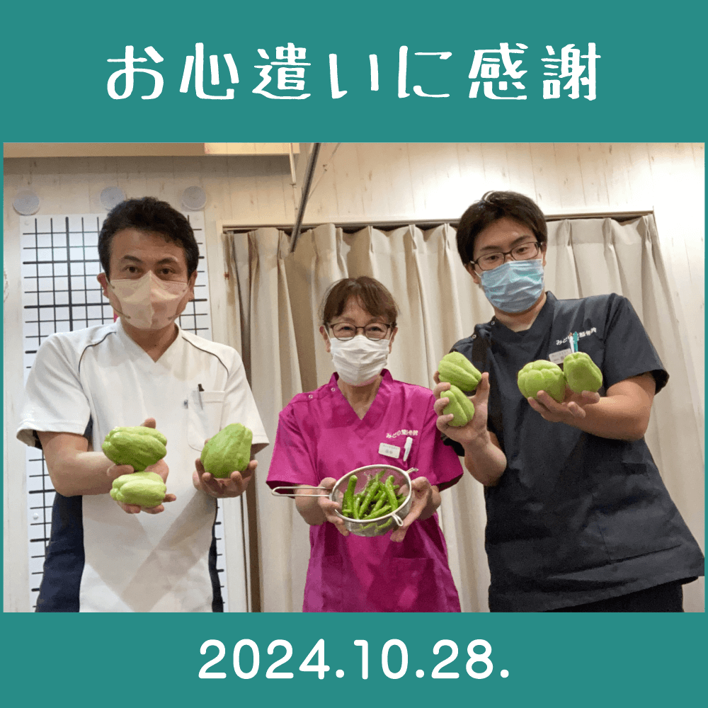 2024.10.28.　患者様からの頂き物「家庭菜園で作られた野菜（ハヤトウリ・万願寺唐辛子）」