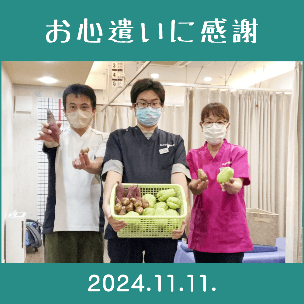 2024.11.11.　患者様からの頂き物「家庭菜園で作られた野菜｜サツマイモ・里芋・ハヤトウリ」