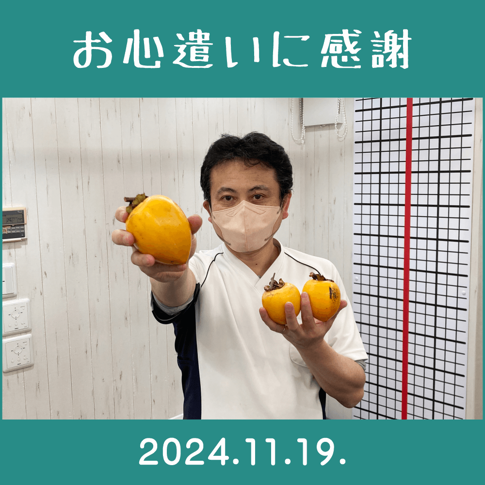 2024.11.19.　患者様からの頂き物「干し柿用の渋柿」