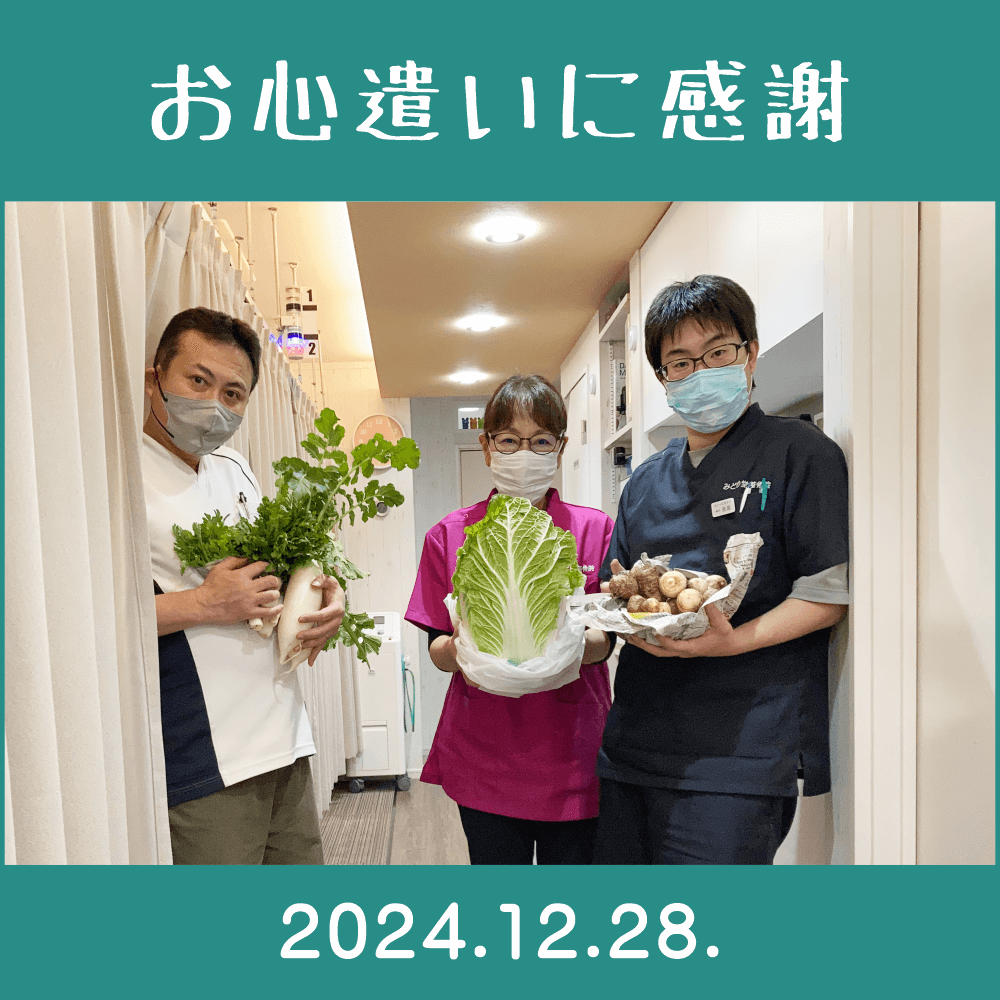 2024.12.28.　患者様からの頂き物「家庭菜園で作られた無農薬野菜｜里芋・白菜・大根・長ネギ・春菊」