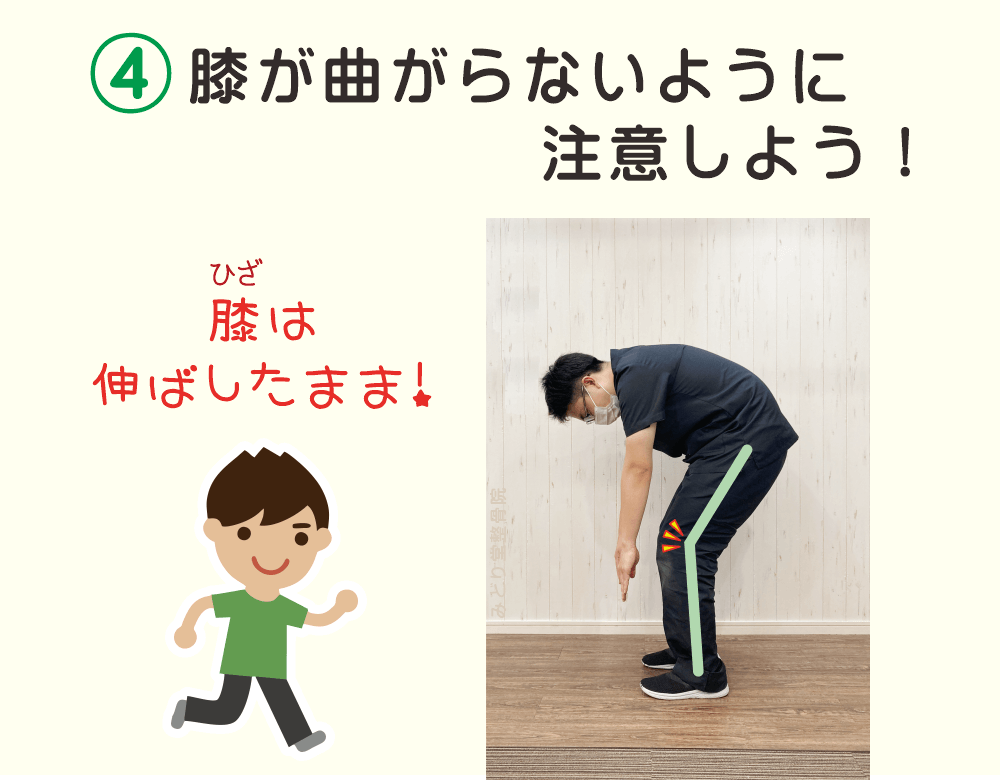 前屈の柔軟性チェック４：前屈をする際に膝が曲がらないように注意しましょう。