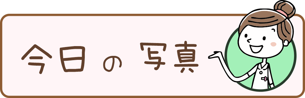 八王子・みどり堂整骨院｜今日の写真